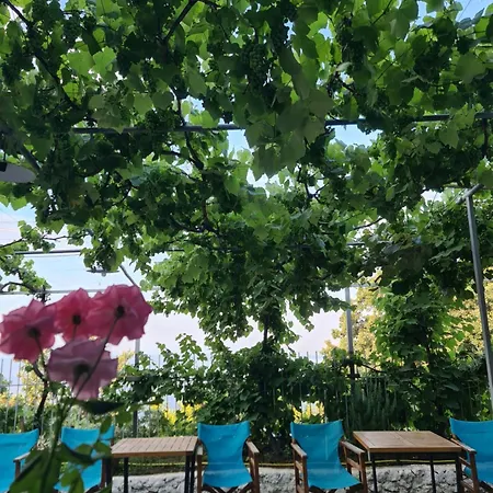Apartamento Manas Dhërmi